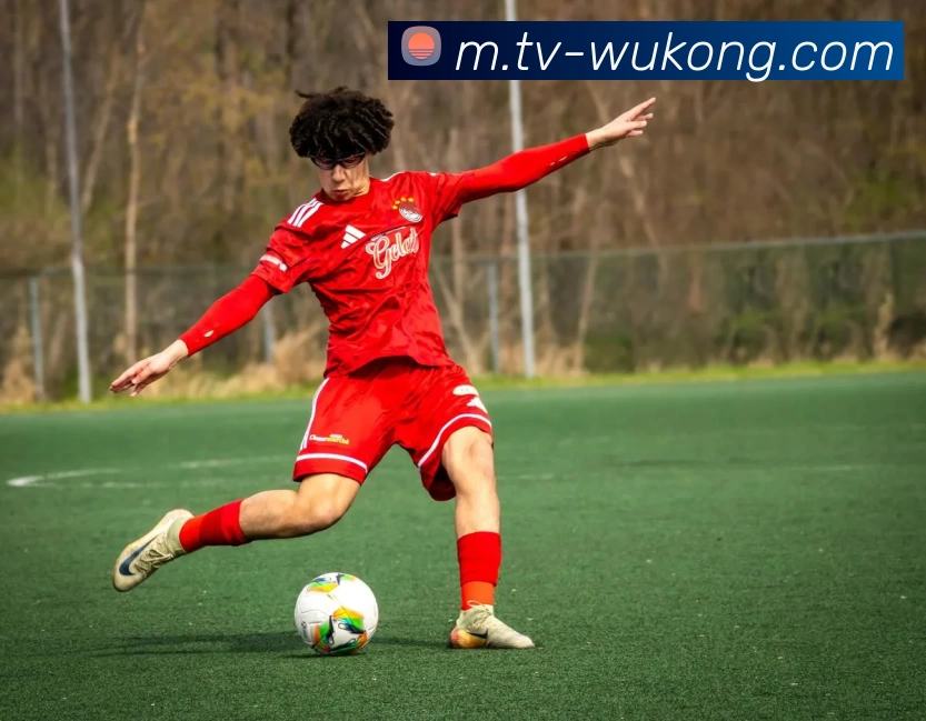 App Interface Preview