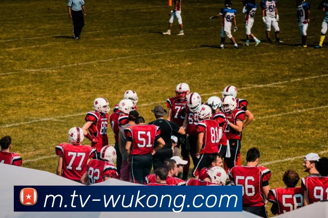 悟空体育APP 封面图